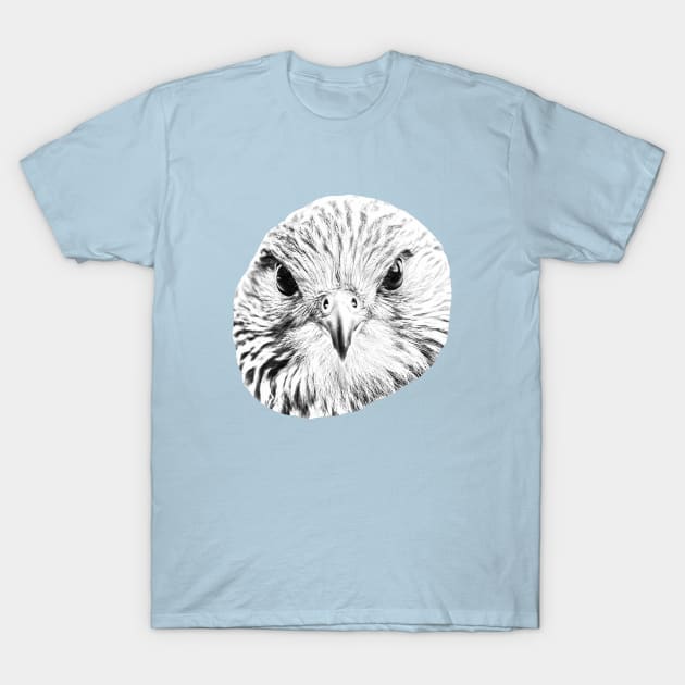 Kestrel in B&W T-Shirt by dalyndigaital2@gmail.com